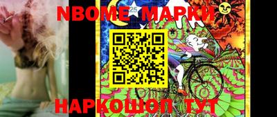 стафф Камышлов