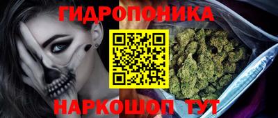 стафф Камышлов