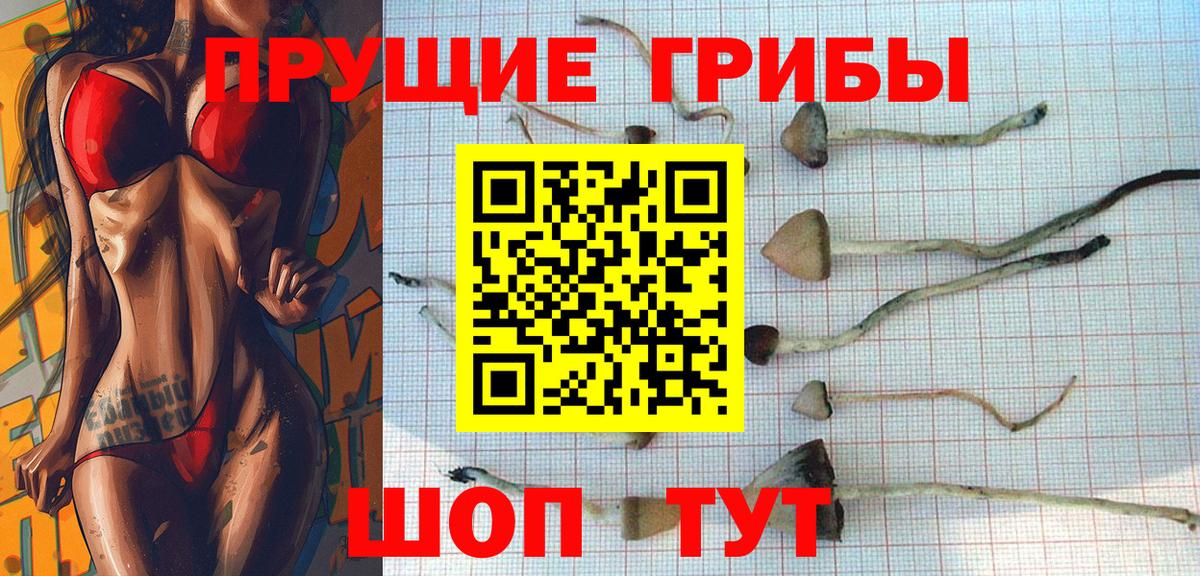 Лесозаводск  Псилоцибиновые грибы Psilocybine cubensis  Галлюциногенные грибы MAGIC MUSHROOMS  Вход с VPN 